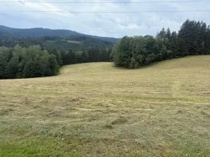 Prodej louky, Hamry, 84928 m2