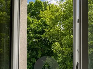 Prodej bytu 3+1, Jihlava, U Hřbitova, 66 m2