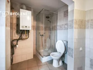 Pronájem bytu 4+kk, Teplice, Masarykova třída, 136 m2
