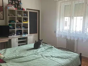 Prodej bytu 4+1, Mnichovo Hradiště, 126 m2