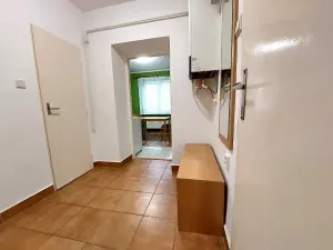 Pronájem bytu 1+1, Brno, Vápenka, 45 m2