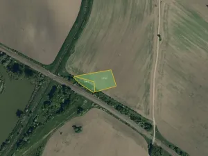 Prodej pole, Bzenec, 9010 m2