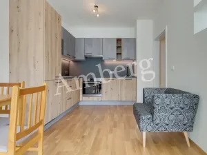 Pronájem bytu 1+kk, Praha - Karlín, Breitfeldova, 38 m2