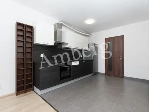 Prodej bytu 2+kk, Praha - Žižkov, Na Vackově, 53 m2