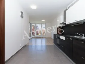 Prodej bytu 2+kk, Praha - Žižkov, Na Vackově, 53 m2