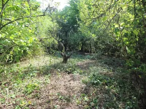 Prodej pozemku pro bydlení, Psáry, 1000 m2