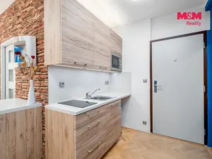 Prodej bytu 1+kk, Ústí nad Labem - Bukov, Školní, 19 m2