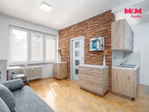 Prodej bytu 1+kk, Ústí nad Labem - Bukov, Školní, 19 m2