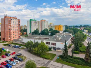 Pronájem kanceláře, Orlová - Lutyně, F. S. Tůmy, 21 m2