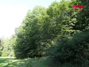 Prodej lesa, Chyňava - Lhotka u Berouna, 7138 m2