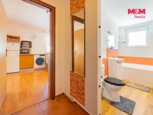 Pronájem bytu 1+1, Horní Slavkov, Dlouhá, 36 m2