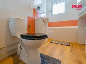 Pronájem bytu 1+1, Horní Slavkov, Dlouhá, 36 m2