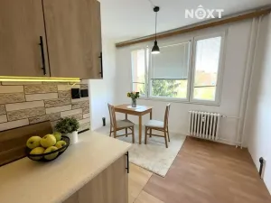 Pronájem bytu 2+1, České Budějovice, Mánesova, 61 m2