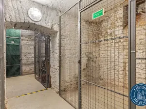 Pronájem bytu 3+kk, Praha - Žižkov, Baranova, 72 m2