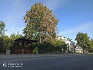 Pronájem bytu 1+kk, Milovice, Topolová, 25 m2