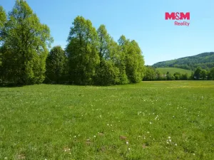 Prodej louky, Náchod, 20490 m2