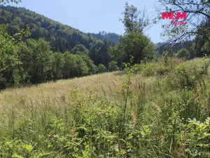 Prodej louky, Halenkov, 1784 m2