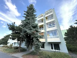 Pronájem bytu 1+1, Židlochovice, sídl. Družba, 34 m2