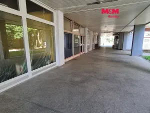 Pronájem obchodního prostoru, Orlová - Lutyně, F. S. Tůmy, 156 m2