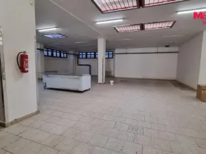 Pronájem obchodního prostoru, Orlová - Lutyně, F. S. Tůmy, 739 m2