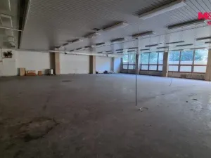 Pronájem obchodního prostoru, Orlová - Lutyně, F. S. Tůmy, 739 m2