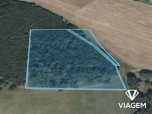 Prodej podílu lesa, Uhlířská Lhota, 2684 m2