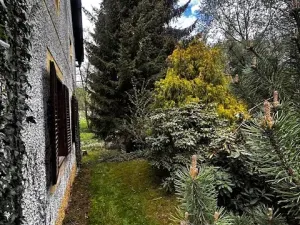 Prodej rodinného domu, Hořepník, 1200 m2
