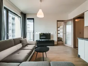 Pronájem bytu 2+kk, Praha - Holešovice, Sanderova, 49 m2