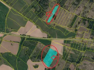 Prodej lesa, Bochovice, 13281 m2