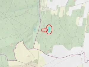 Prodej lesa, Losiná, 2910 m2