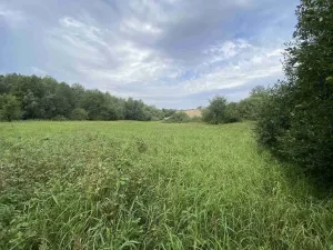 Prodej pozemku, Písečné - Slavětín, 4446 m2