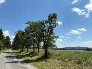Prodej pozemku pro bydlení, Chocnějovice, 5604 m2