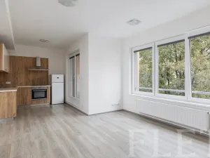 Pronájem bytu 1+kk, Praha - Vršovice, Petrohradská, 37 m2