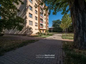 Prodej bytu 3+1, Modřice, Husova, 70 m2