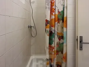 Pronájem bytu 1+kk, Praha - Nusle, Marie Cibulkové, 28 m2