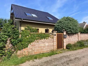 Prodej rodinného domu, Nový Vestec, U Tří Cest, 224 m2