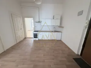 Pronájem bytu 3+1, Praha - Vinohrady, Na Švihance, 89 m2