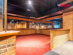 Pronájem obchodního prostoru, Praha, Trnkovo náměstí, 324 m2