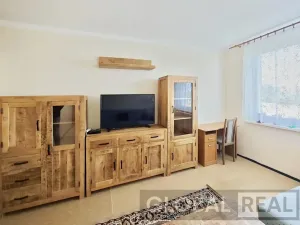 Pronájem bytu 2+kk, Jihlava, Za Prachárnou, 49 m2