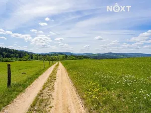 Prodej pozemku, Přídolí, 18124 m2