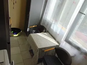 Prodej bytu 1+1, Domažlice, Mánesova, 40 m2