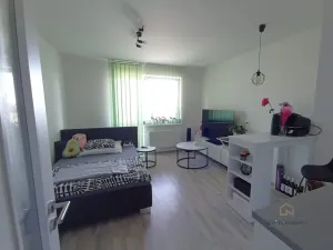 Pronájem bytu 1+kk, Plzeň - Bolevec, Studentská, 28 m2