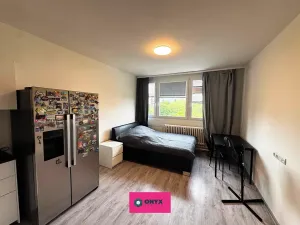 Prodej bytu 1+kk, Brno, Halasovo náměstí, 24 m2