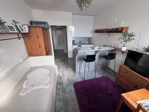 Prodej bytu 1+kk, Brno, Halasovo náměstí, 23 m2