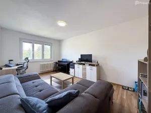 Prodej bytu 3+1, Hodonín, Družstevní čtvrť, 73 m2