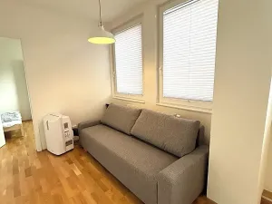 Pronájem bytu 2+kk, Praha - Vinohrady, Perucká, 37 m2