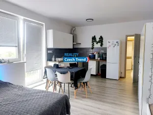 Pronájem bytu 1+kk, Olomouc, Aloise Rašína, 37 m2