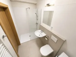Pronájem bytu 1+kk, Syrovice, 28 m2