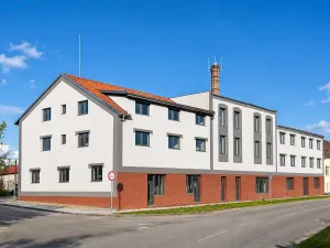 Pronájem bytu 1+kk, Syrovice, 28 m2