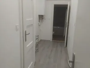 Pronájem bytu 2+1, Brno, Francouzská, 50 m2